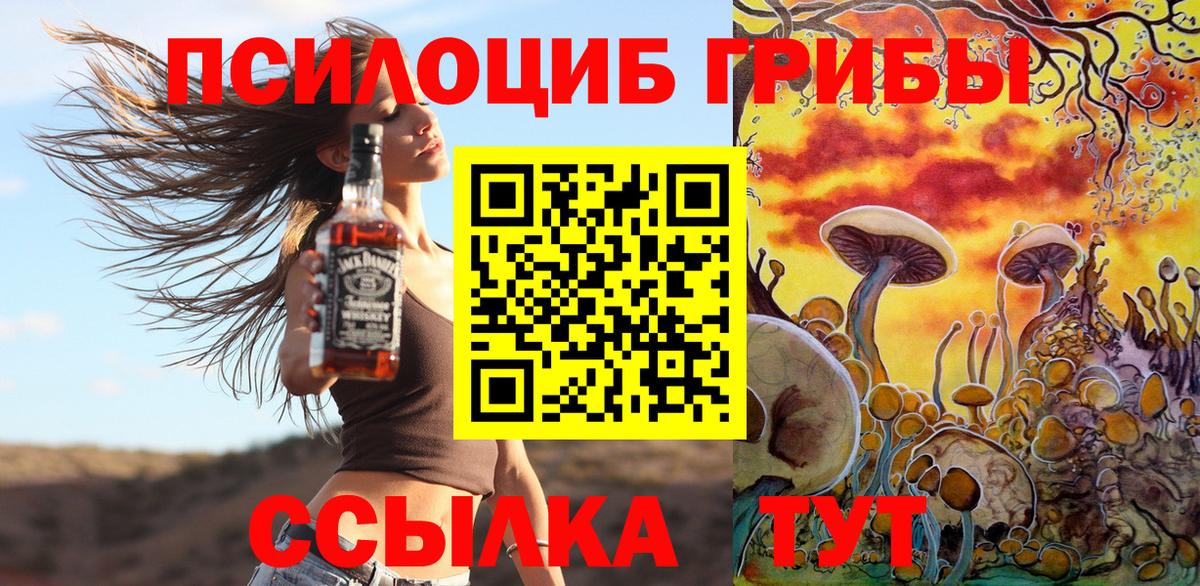Сургут  где найти   Галлюциногенные грибы мицелий  Вход с VPN  Галлюциногенные грибы мухоморы 